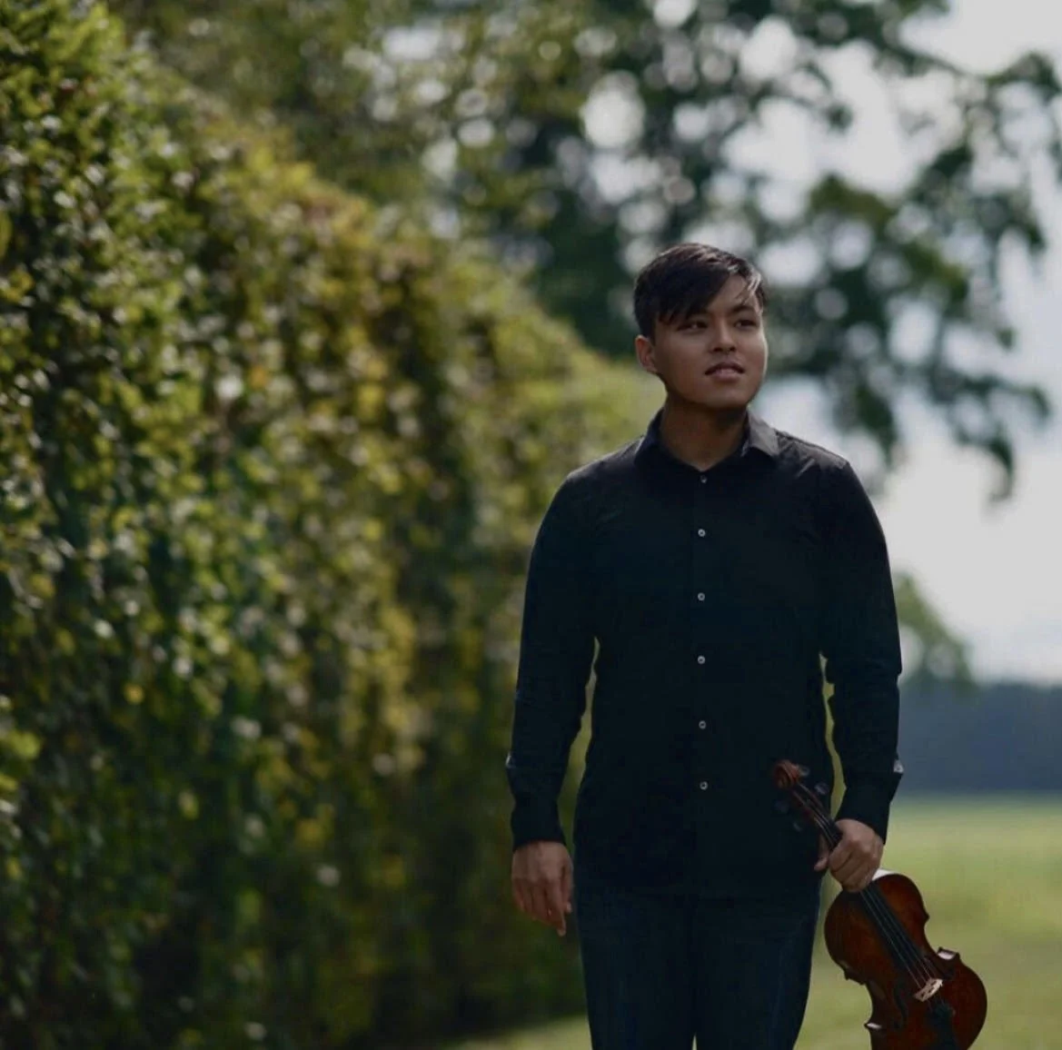 The top violin site